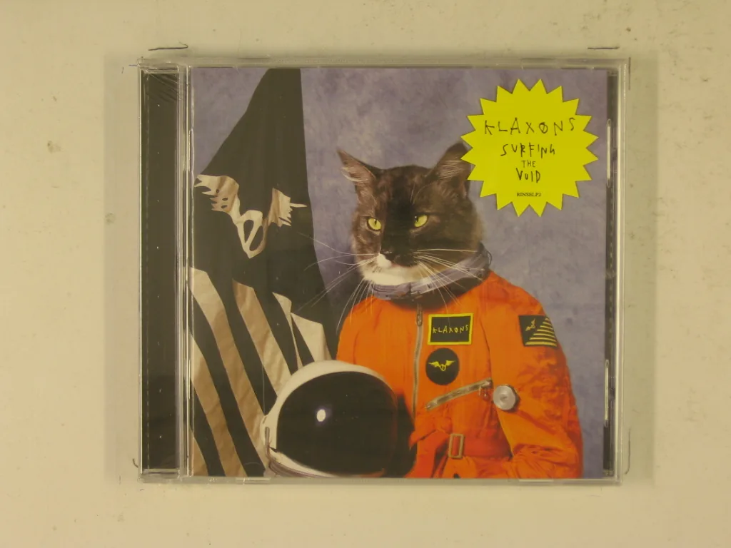 Copertina di Surfing The Void
