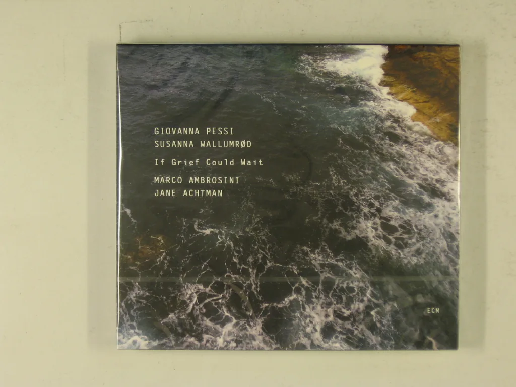 Copertina di If Grief Could Wait