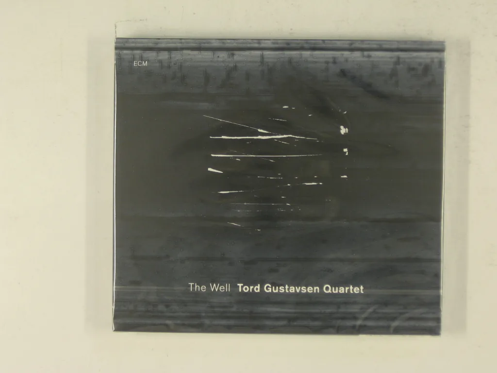 Copertina di The Well