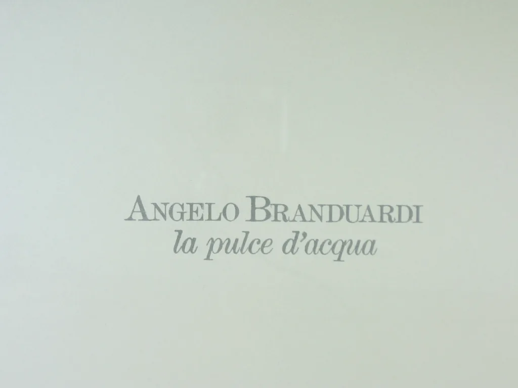 Copertina di La Pulce D'Acqua