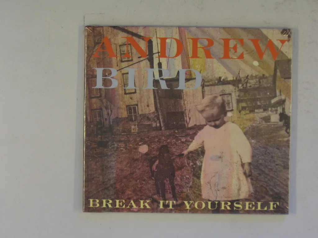 Copertina di Break It Yourself