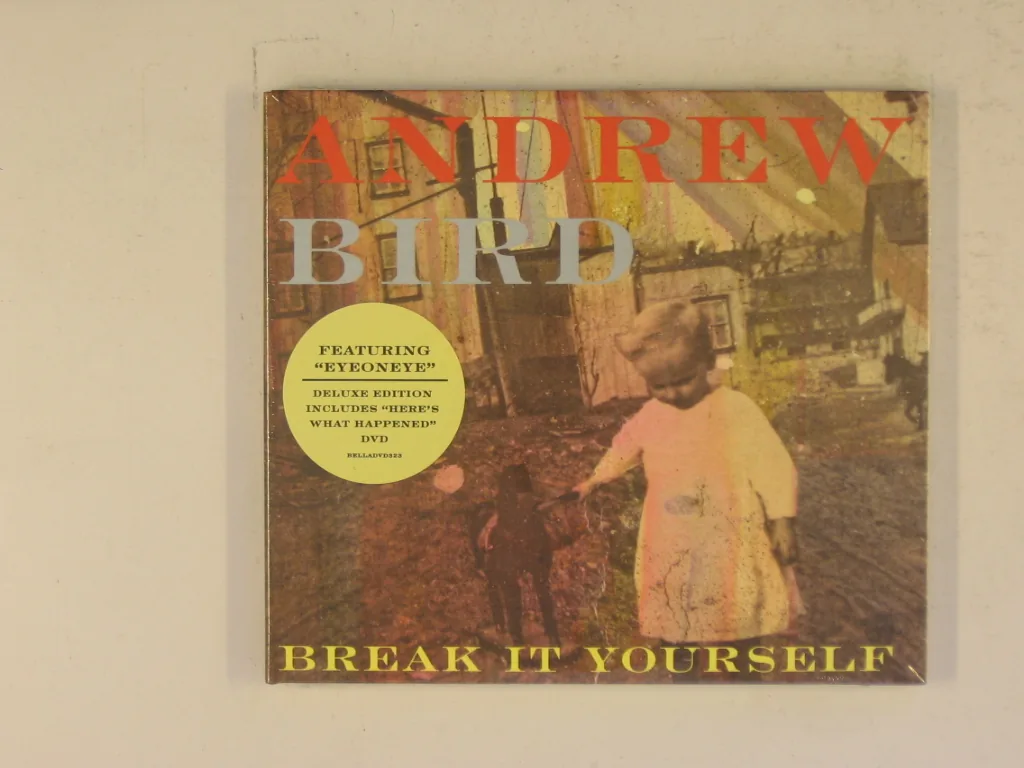 Copertina di Break It Yourself
