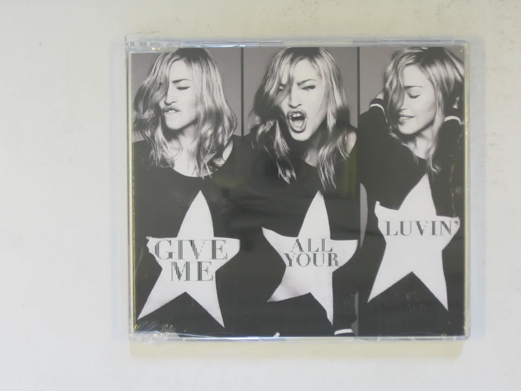 Copertina di Give Me All Your Luvin'