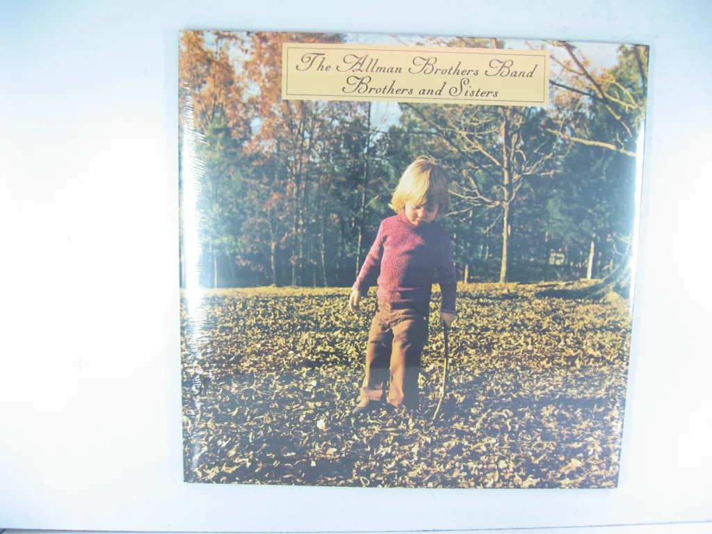 Copertina di Brothers And Sisters