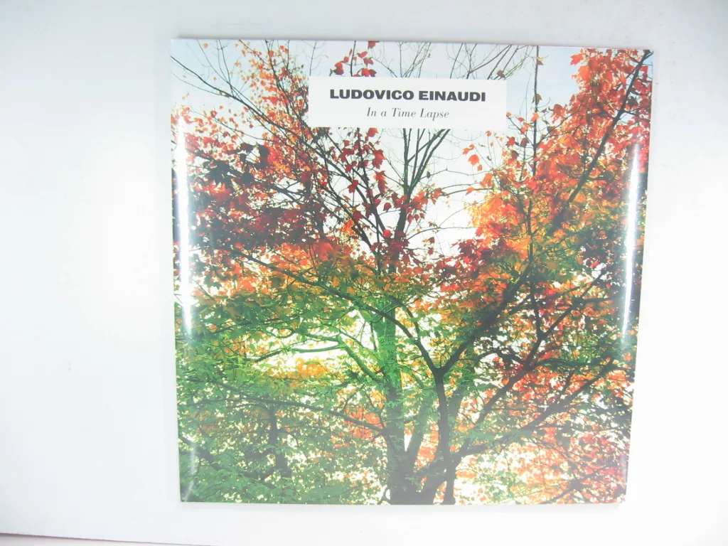 Copertina di In A Time Lapse