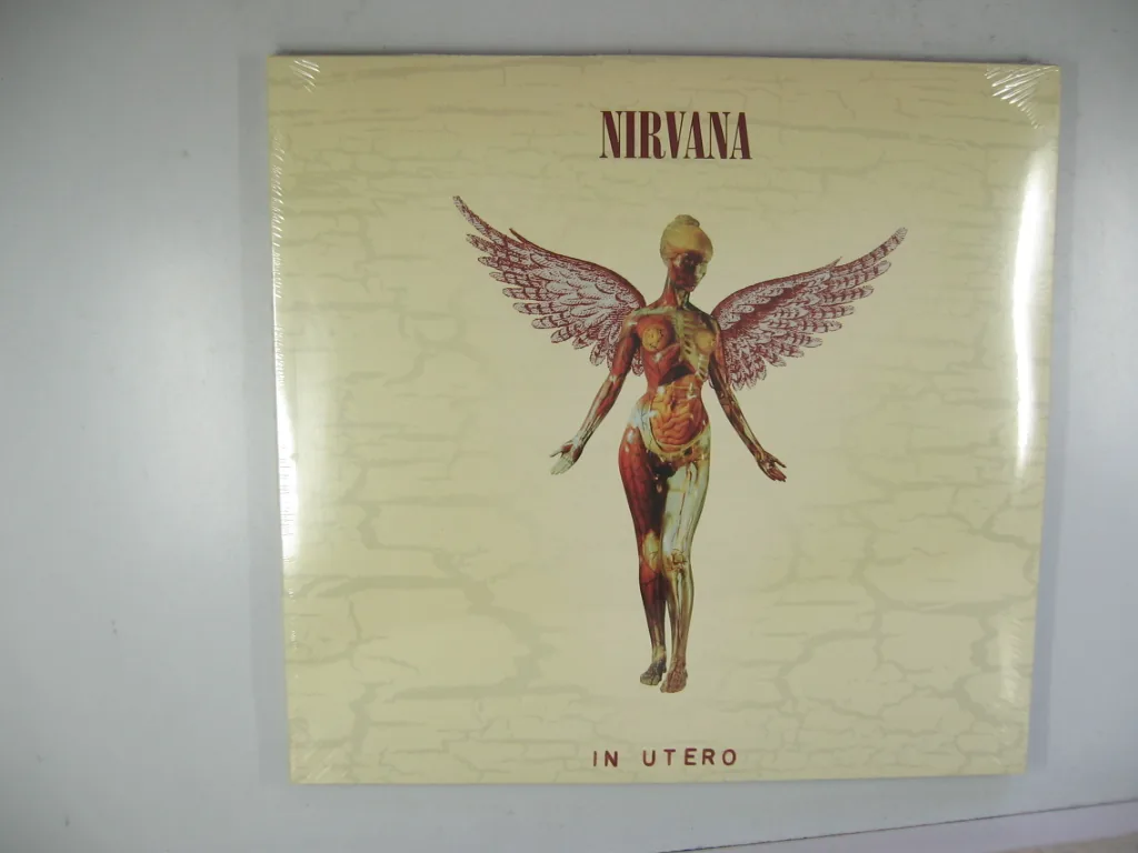 Copertina di In Utero