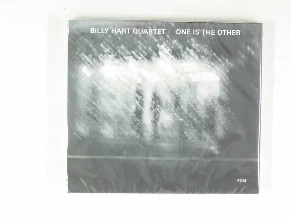 Copertina di One Is The Other