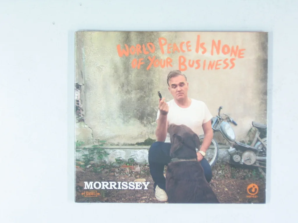 Copertina di World Peace Is None Of Your Business