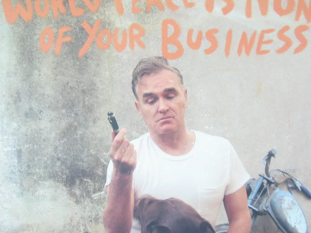 Copertina di World Peace Is None Of Your Business