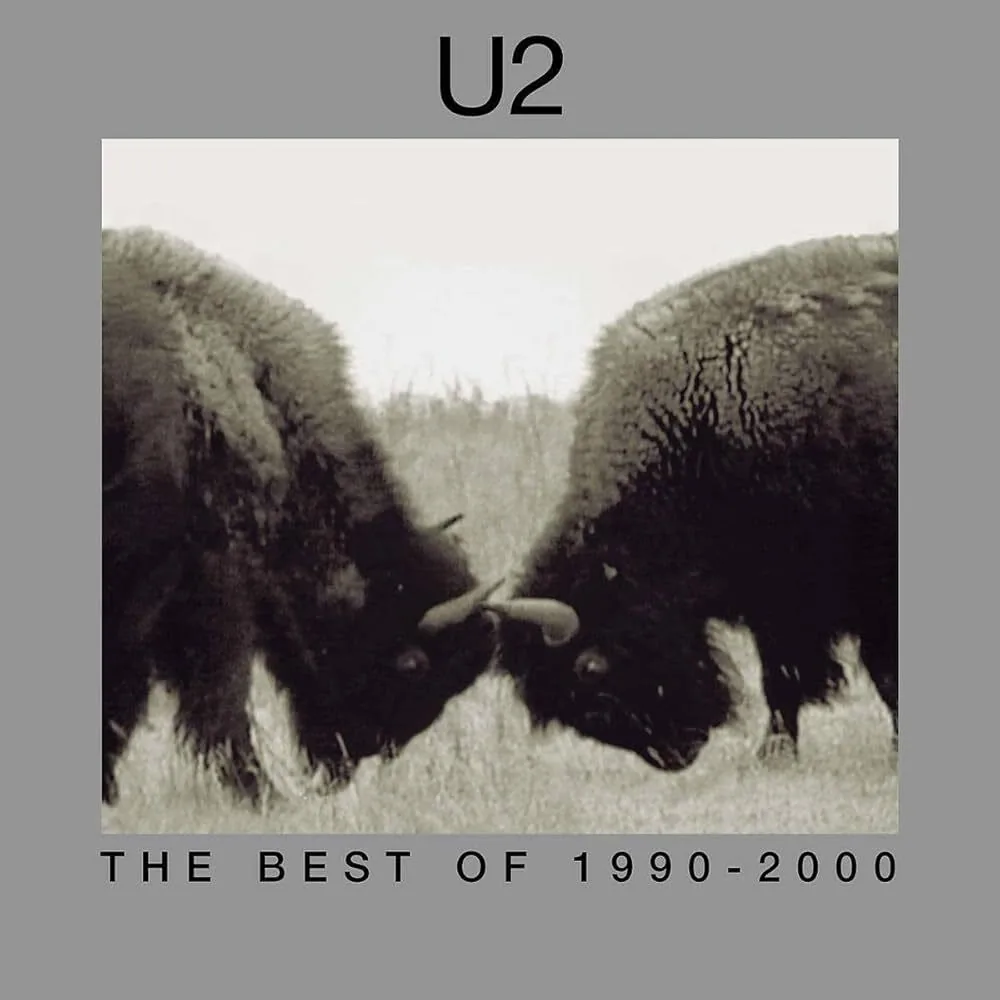 Copertina di The Best Of 1990-2000