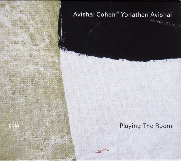 Copertina di Playing The Room