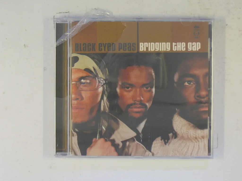 Copertina di Bringing The Gap