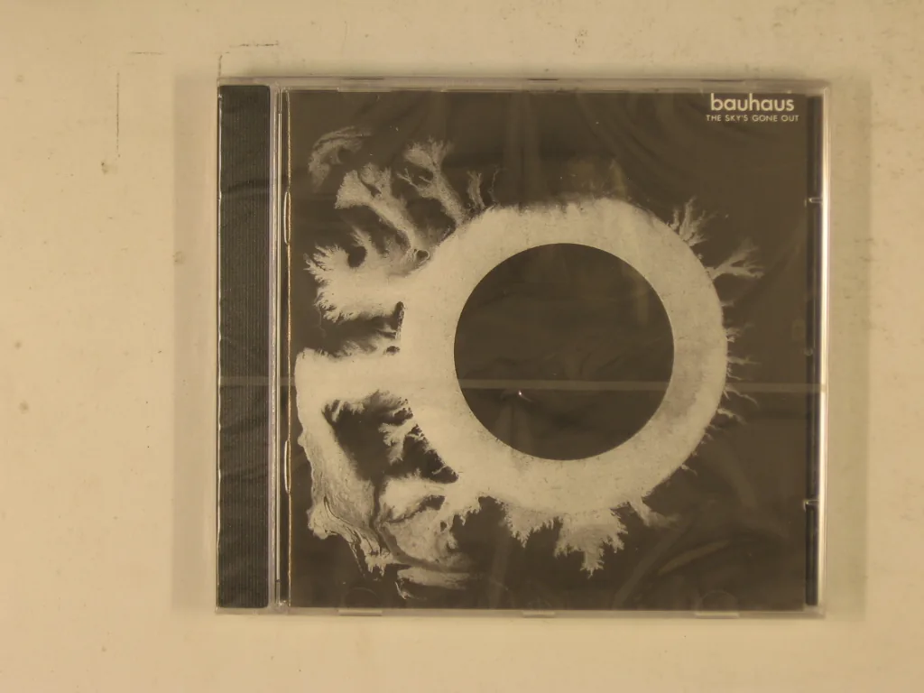Copertina di The Sky'S Gone Out