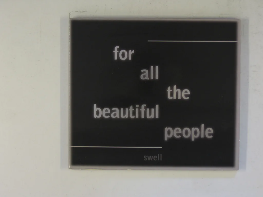 Copertina di For All The Beautiful People