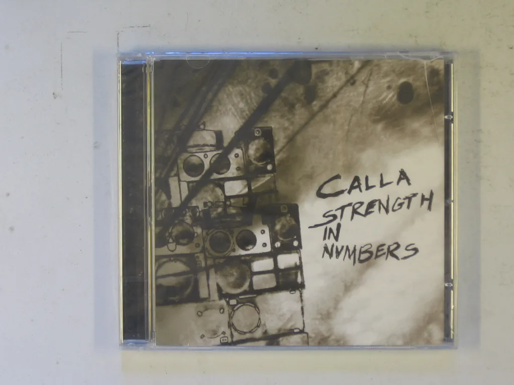 Copertina di Strenght In Numbers