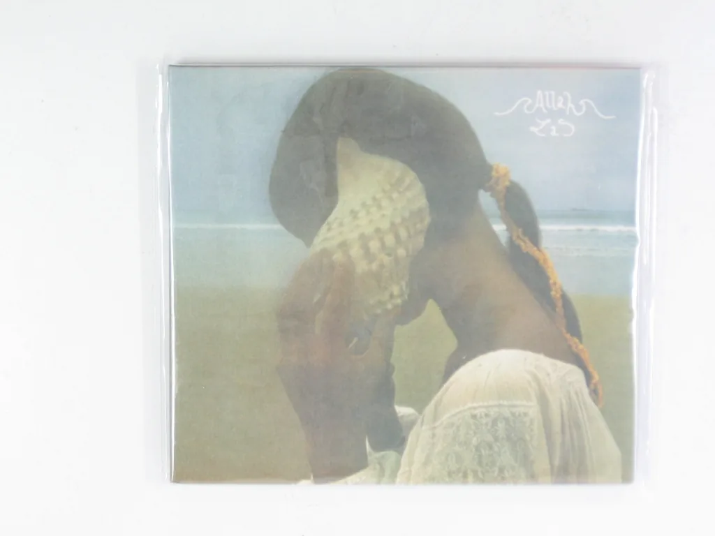 Copertina di Allah-Las