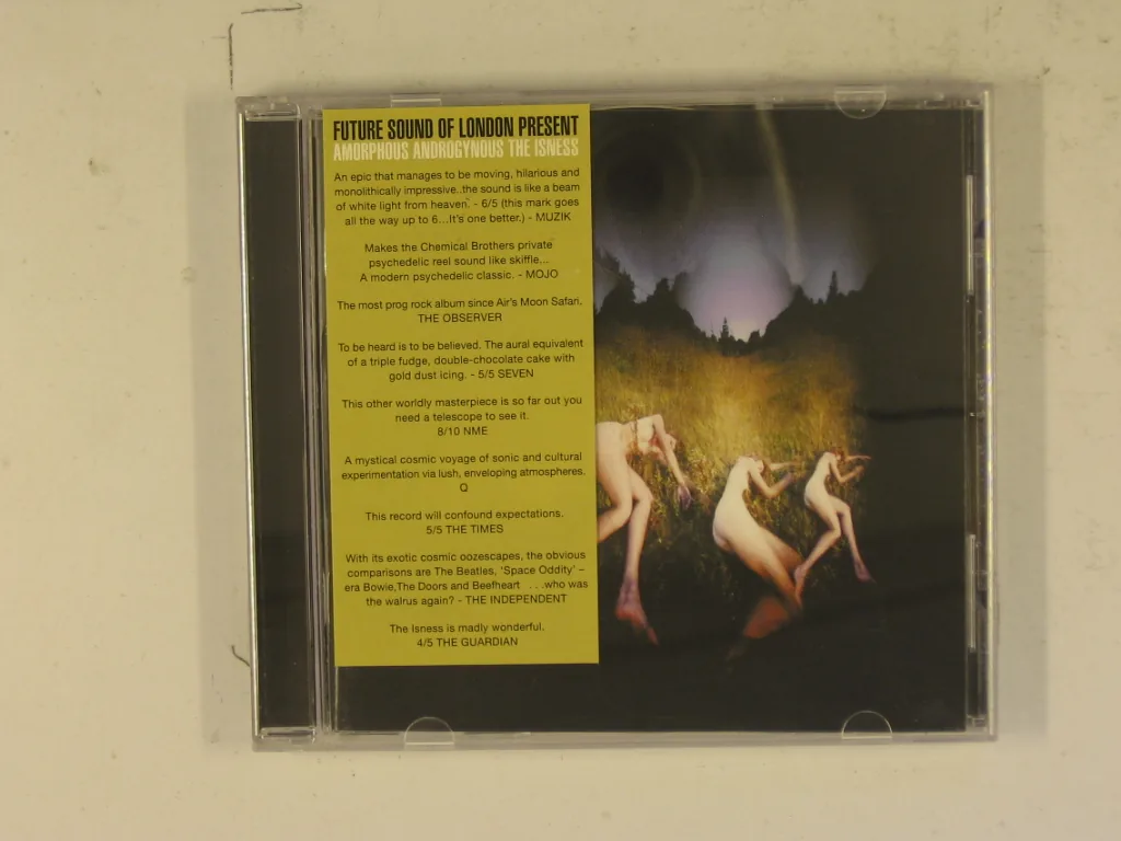 Copertina di Amorphous Androgynous The Isness