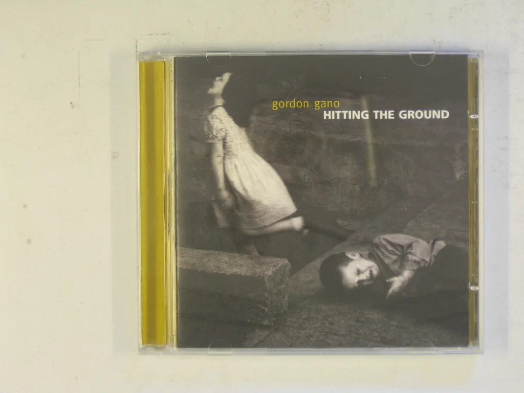 Copertina di Hitting The Ground