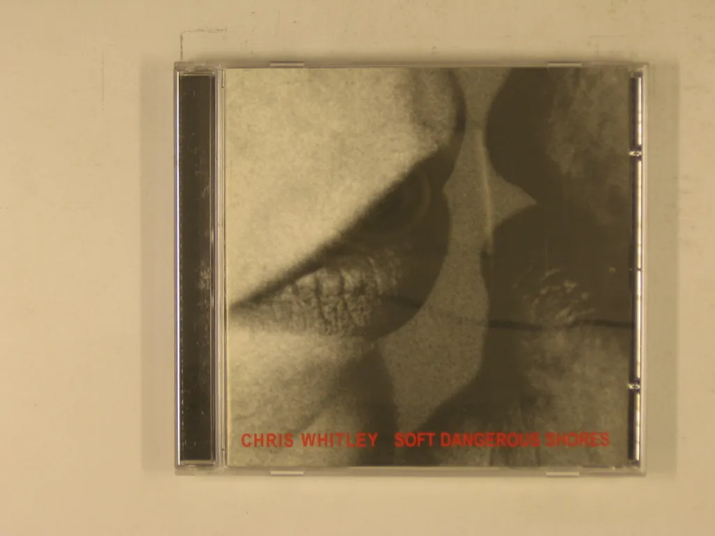 Copertina di Soft Dangerous Shores