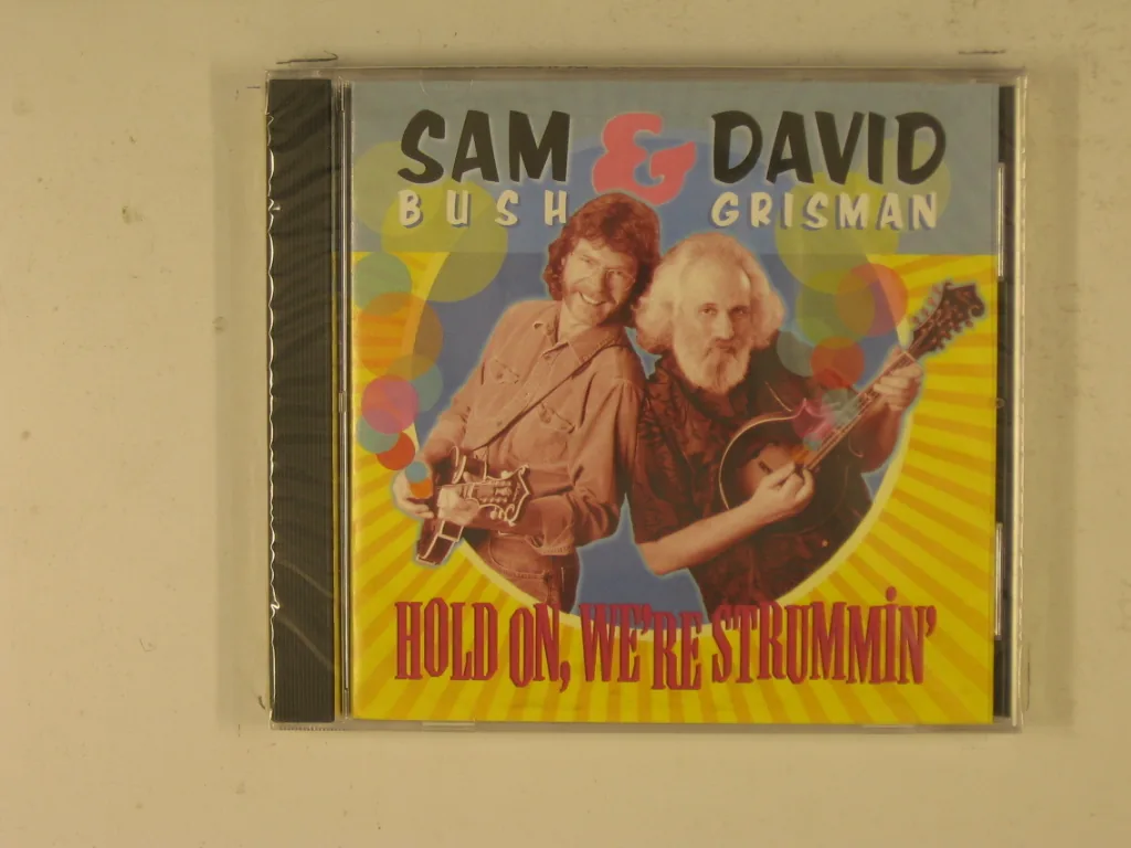 Copertina di Hold On, We'Re Strummin'