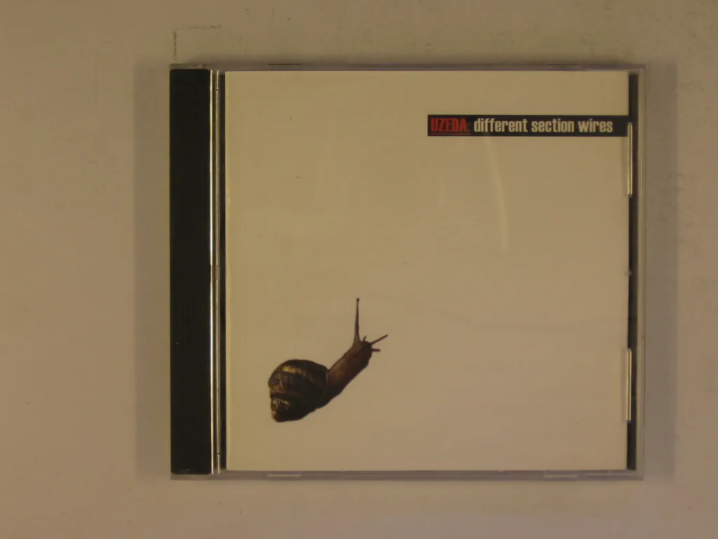 Copertina di Different Section Wires