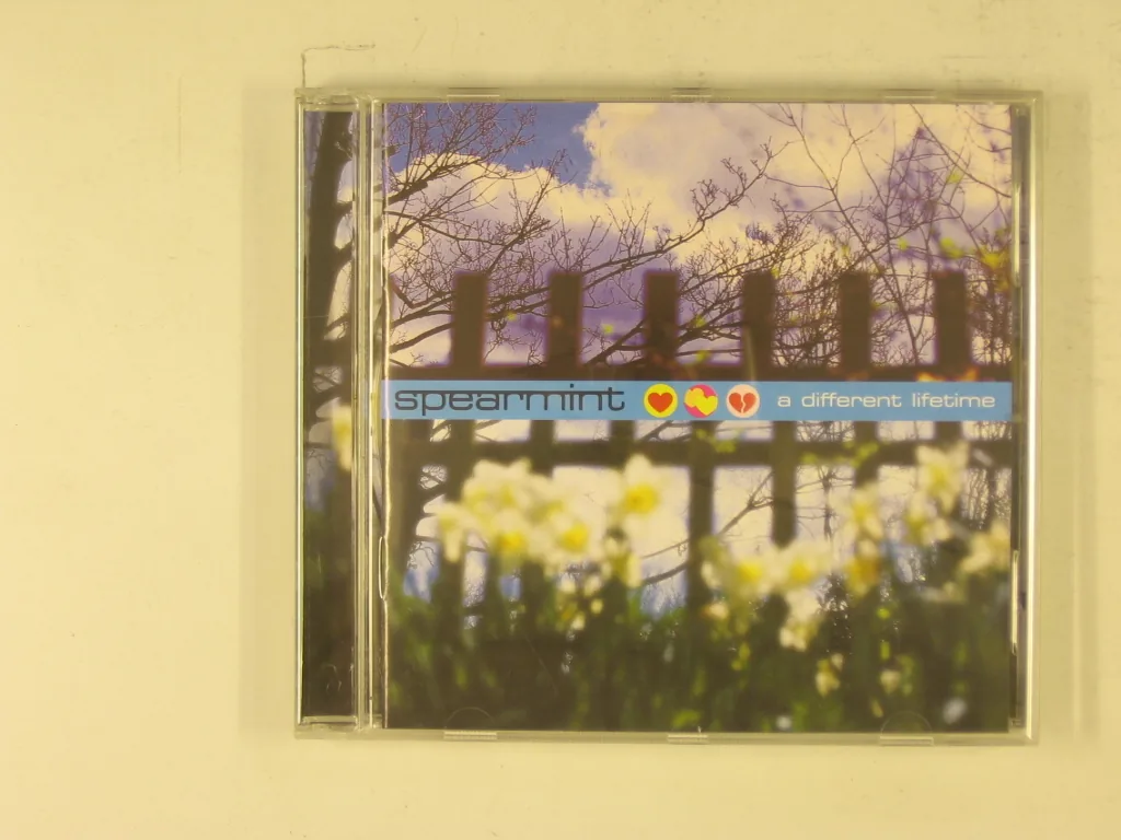 Copertina di A Different Life Time