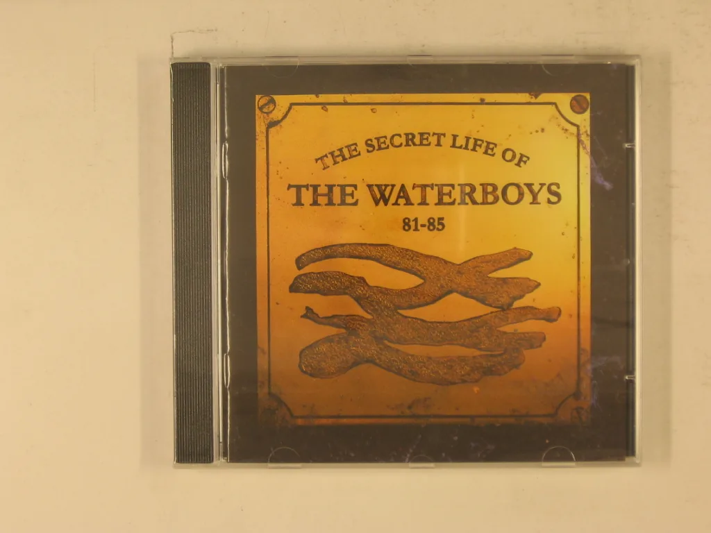 Copertina di The Secret Life Of The Waterboys 81-85