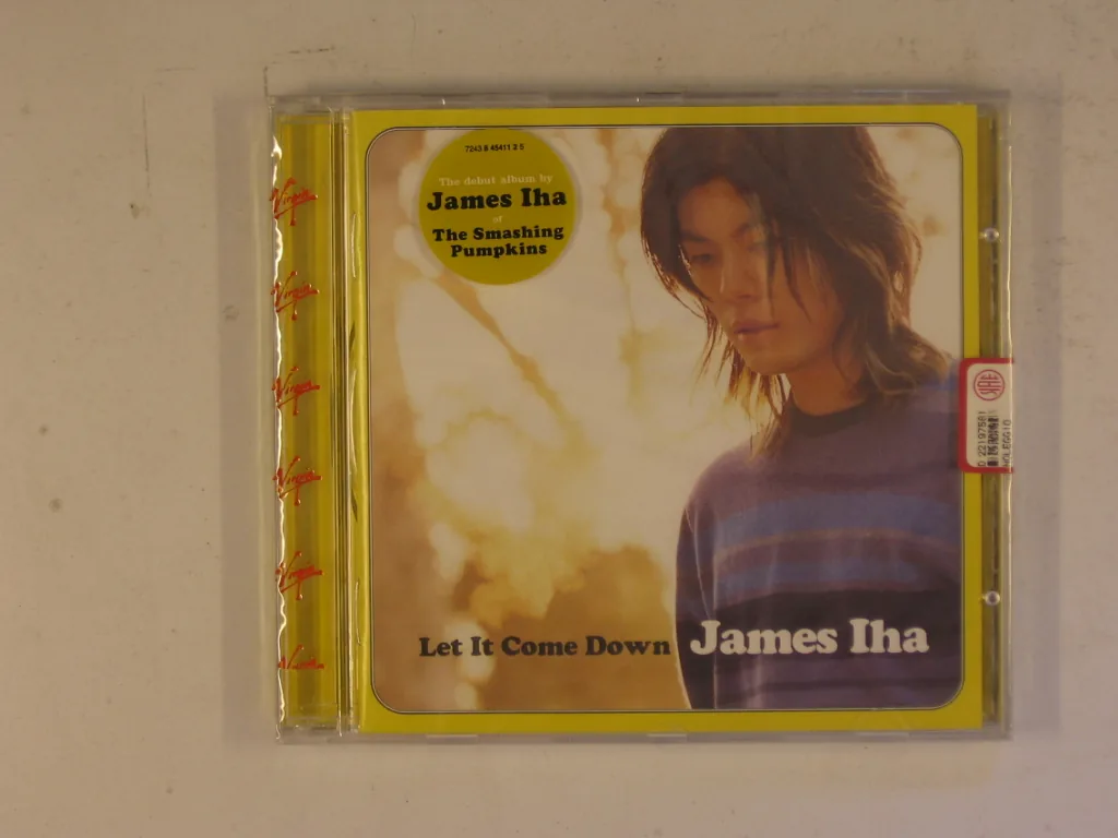 Copertina di Let It Come Down