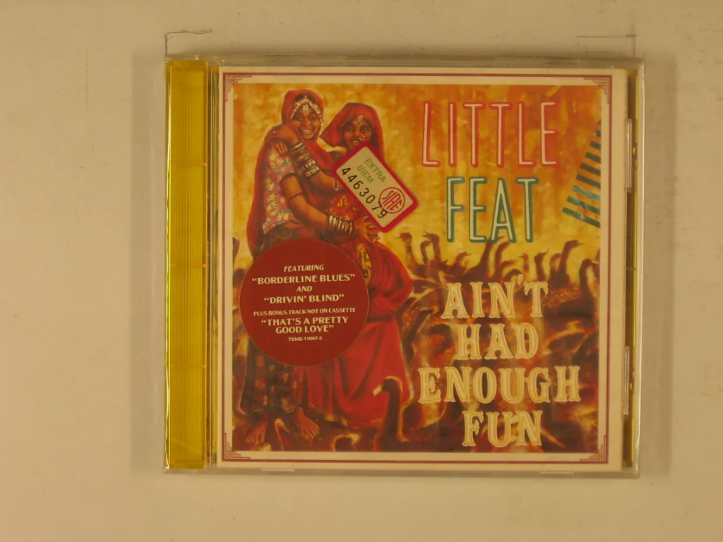 Copertina di Ain'T Had Enough Fun