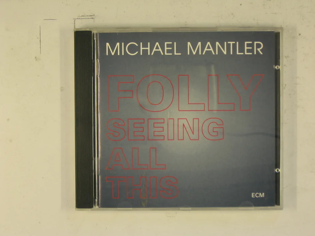 Copertina di Folly Seeing All This