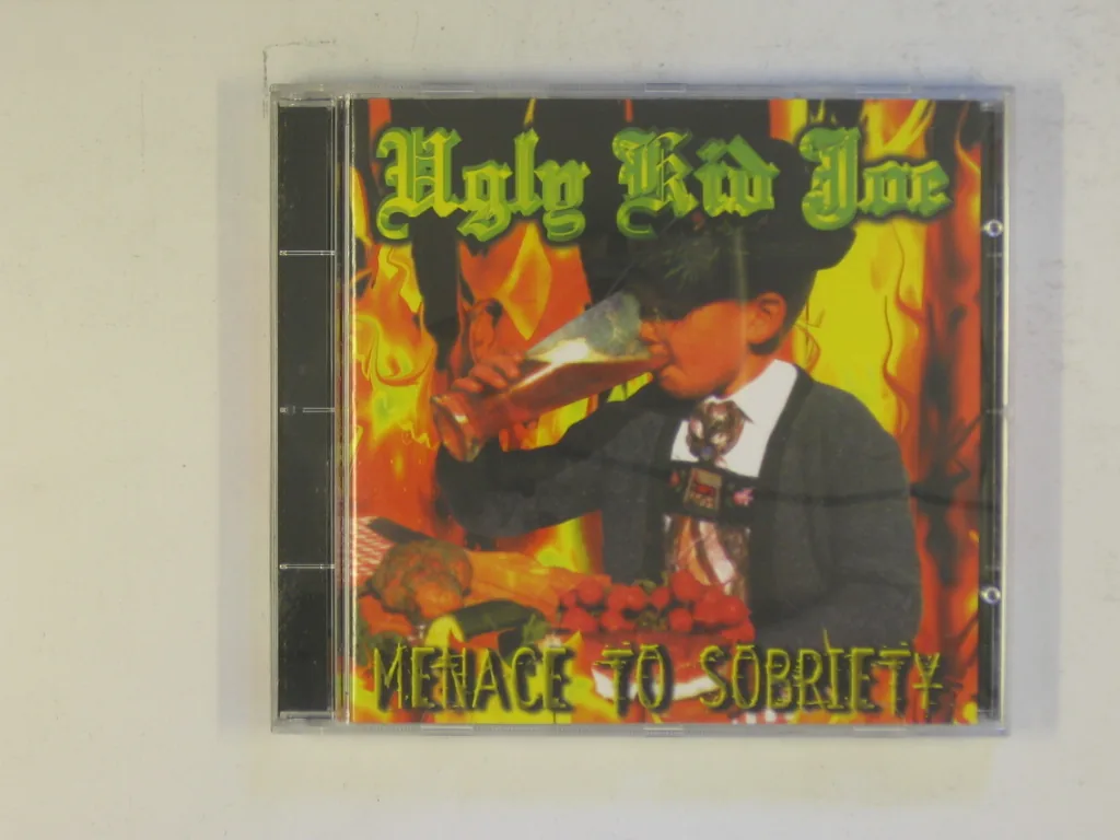 Copertina di Menace To Sobriety
