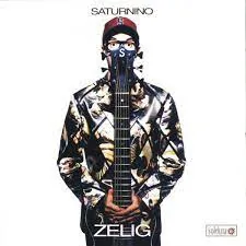 Copertina di Zelig