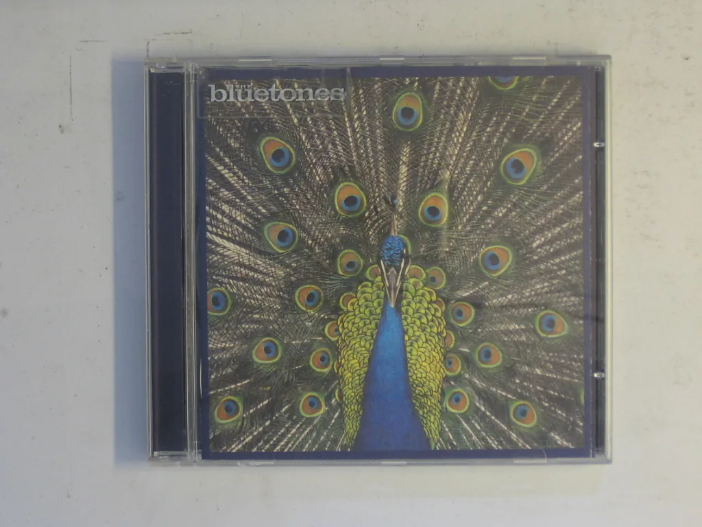 Copertina di Expecting To Fly