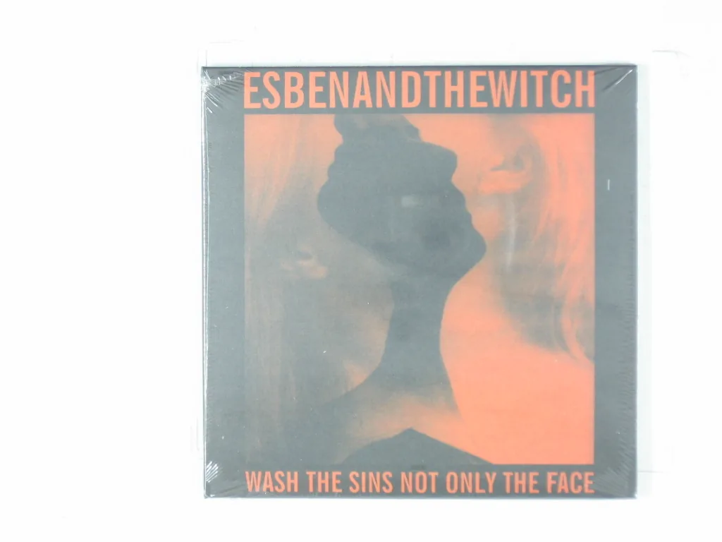 Copertina di Wash The Sins Not Only The Face