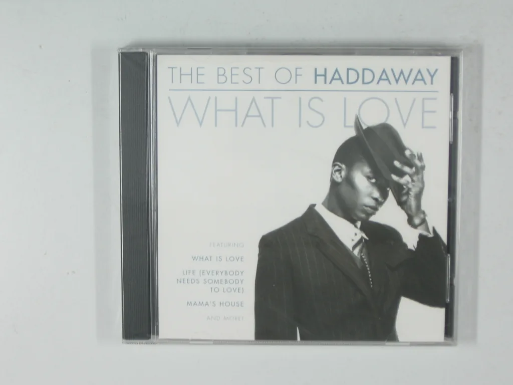 Copertina di The Best Of Haddaway What Is Love