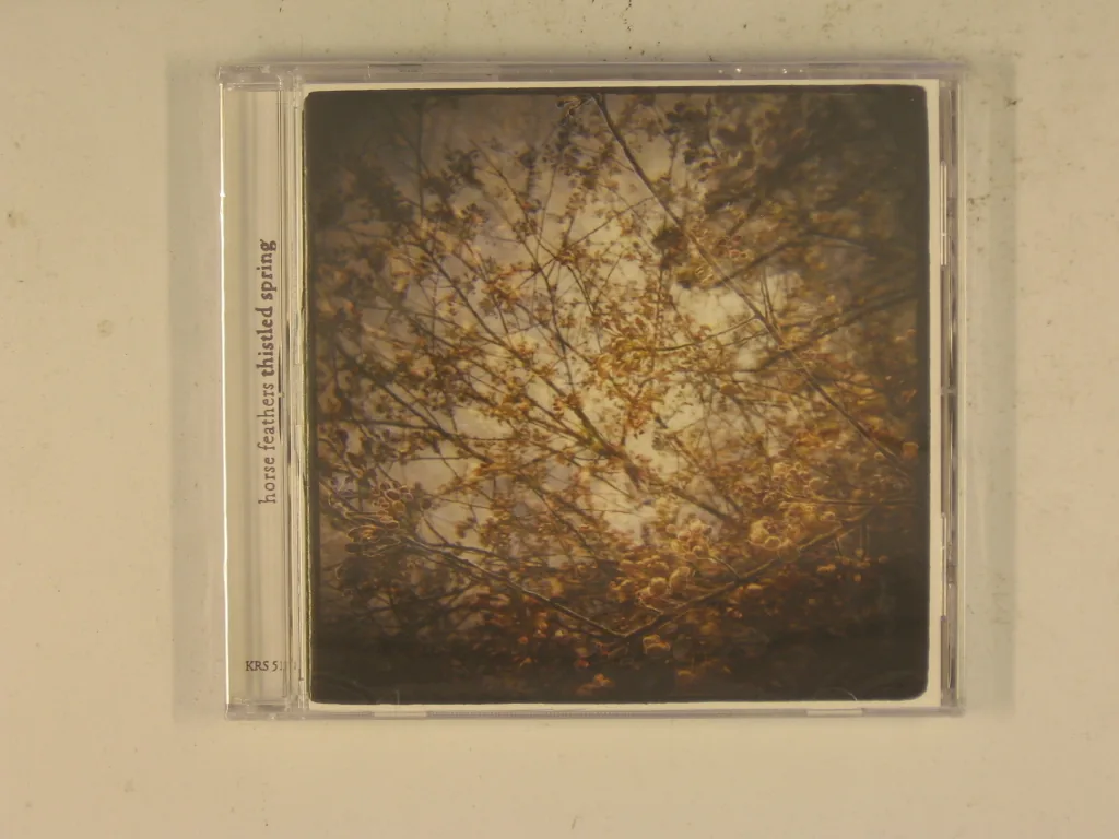 Copertina di Thistled Spring