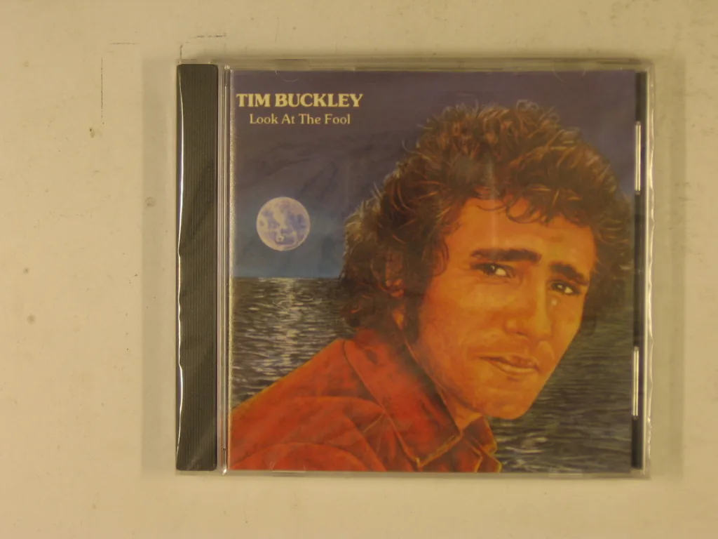 Copertina di Look At The Fool