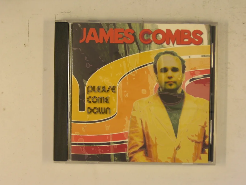 Copertina di Please Come Down