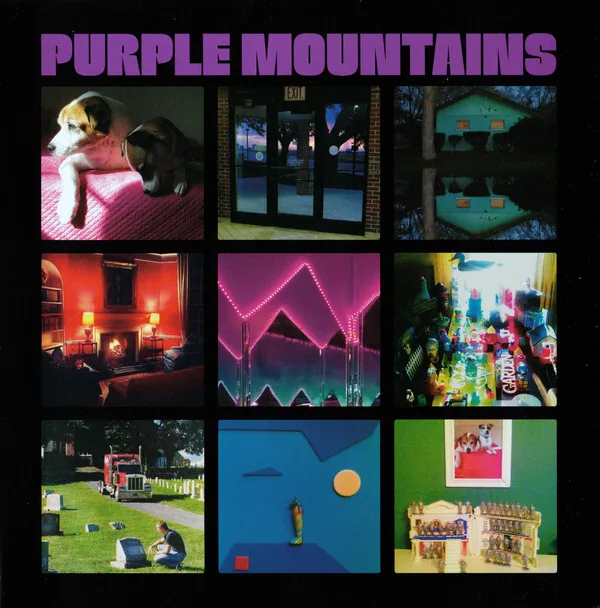 Copertina di Purple Mountains