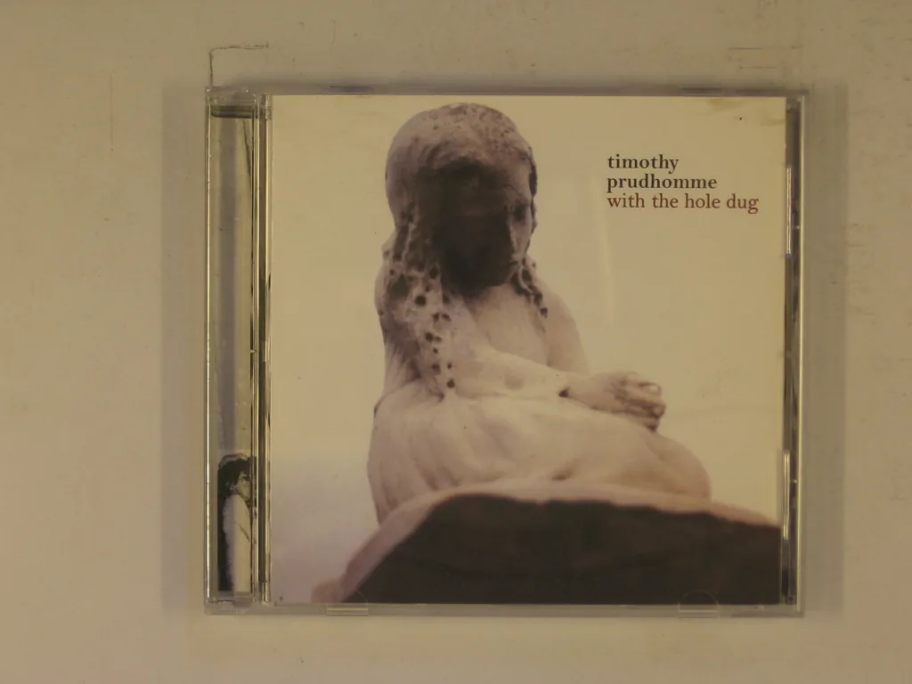 Copertina di With The Hole Dug