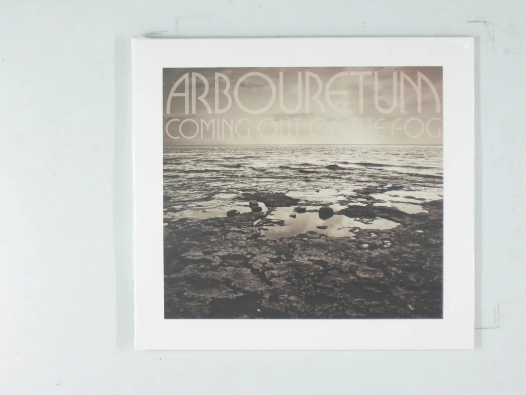 Copertina di Coming Out Of The Fog