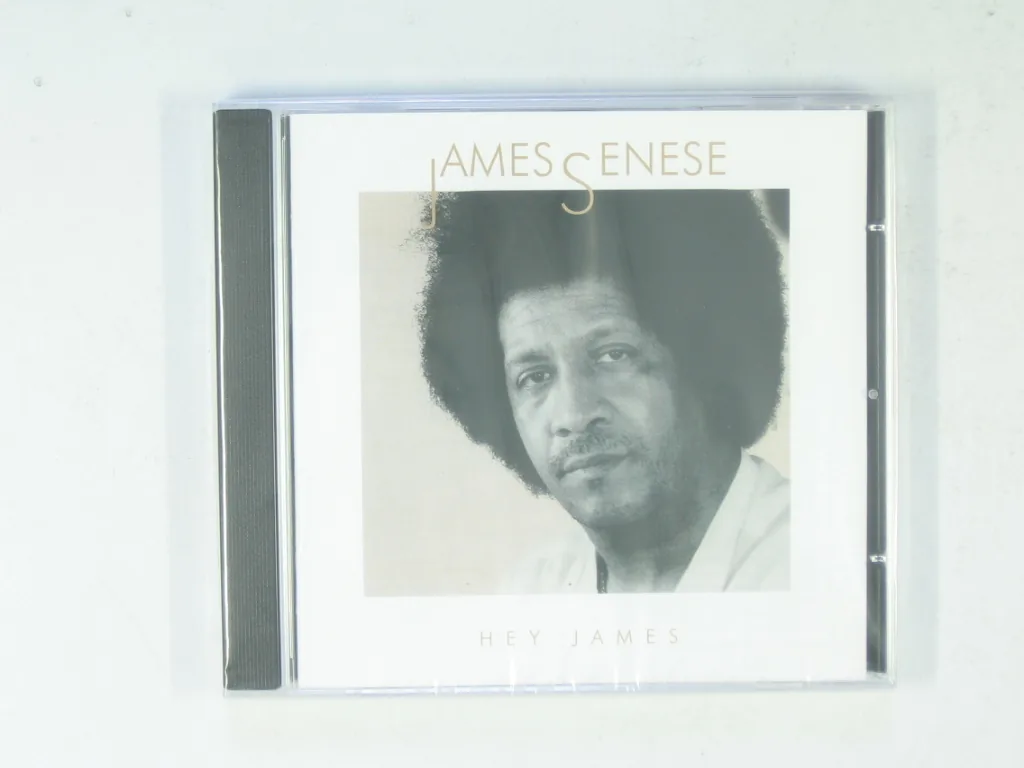 Copertina di Hey James