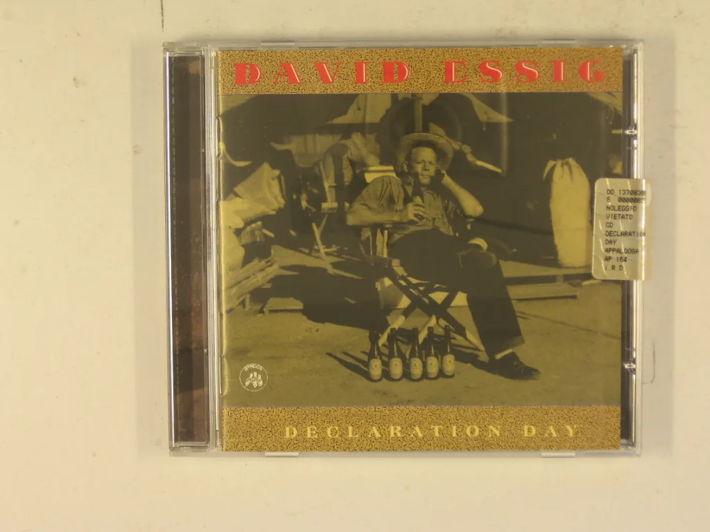 Copertina di Declaration Day