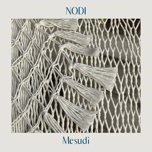 Copertina di Nodi