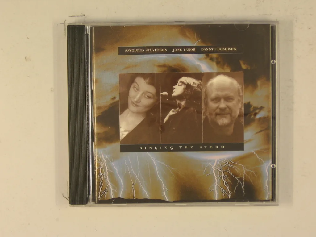 Copertina di Singing The Storm