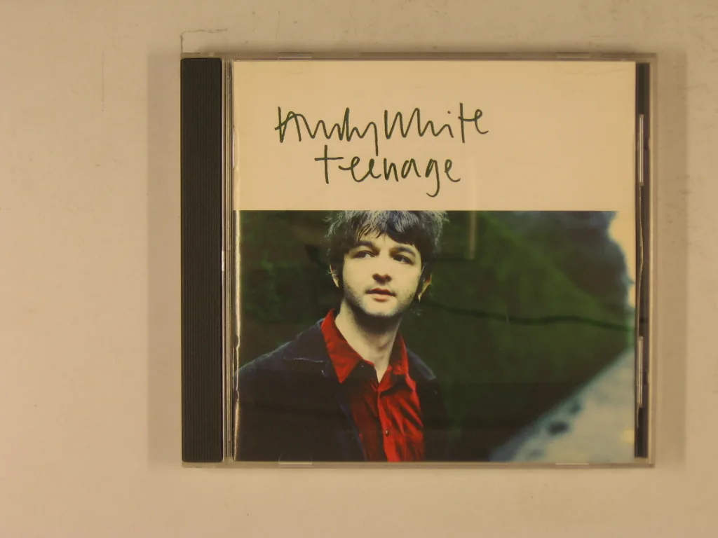Copertina di Teenage