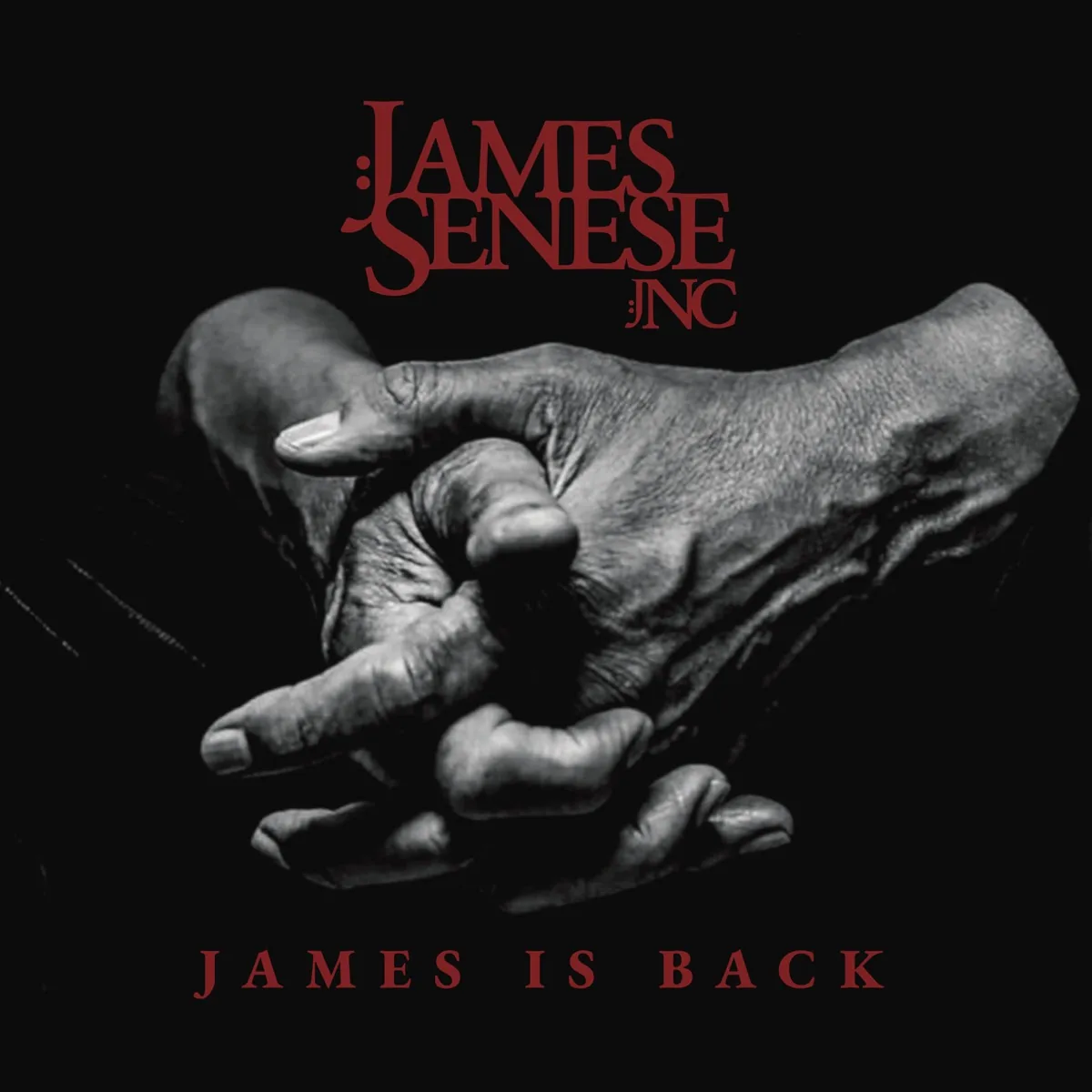 Copertina di James Is Back