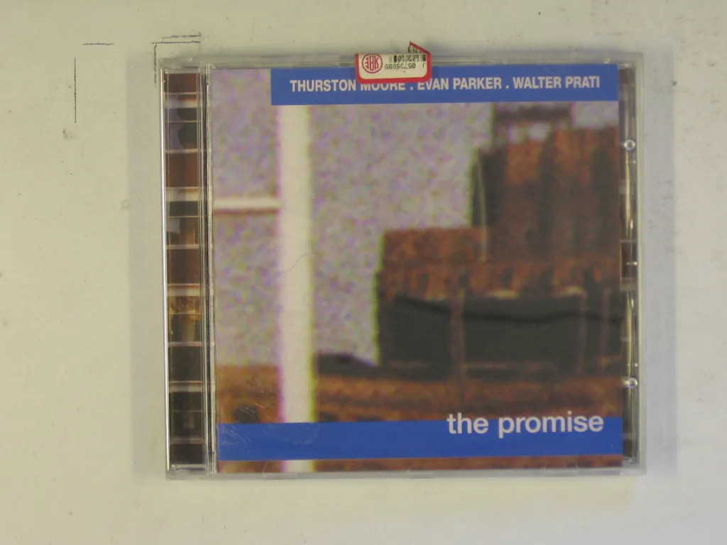 Copertina di The Promise