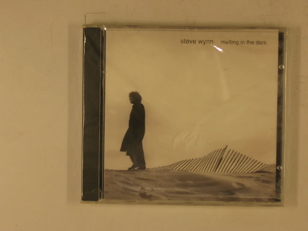 Copertina di Melting In The Dark