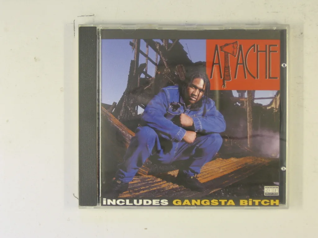 Copertina di Apache Ain'T Shit